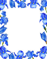Frame watercolor flowers irises spring botanical illustration design greeting card invitation	