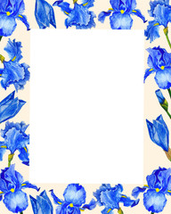 Obraz na płótnie Canvas Frame watercolor flowers irises spring botanical illustration design greeting card invitation 