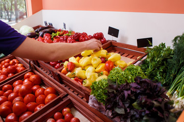 Close-up of a hand chooses a red pepper on the background of a shelf in a vegetable store