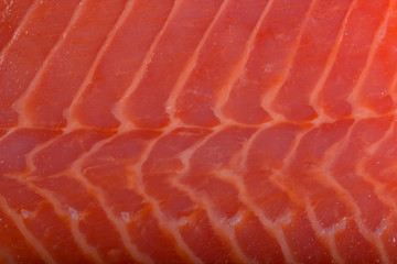 fresh salmon slice background