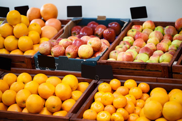 Shelf in the vegetable store with different kinds of fruit
