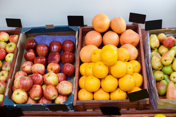 Shelf in the vegetable store with different kinds of fruit