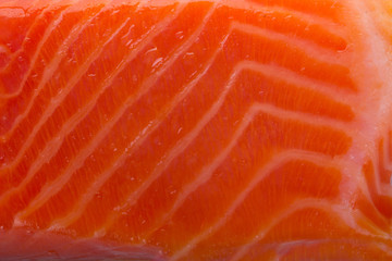 fresh salmon slice background