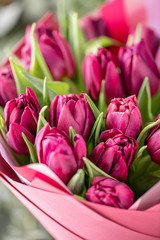 Naklejka premium Bouquets of violet tulips. Spring flowers from Dutch gardener. Concept of a florist in a flower shop. Wallpaper.