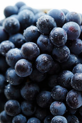 Fresh grapes