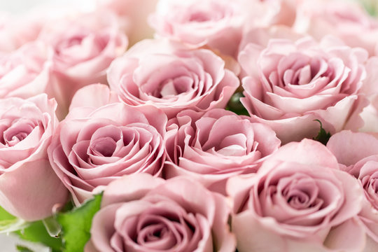 Fototapeta Pink roses in glass vases. Bunch pastel color. the concept of a florist in a flower shop. Wallpaper.