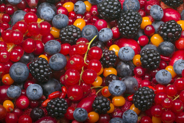 various berries background