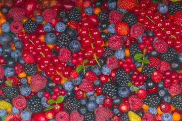 various berries background
