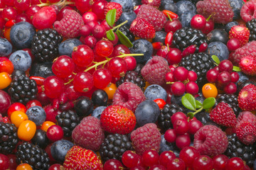 various berries background