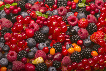 various berries background