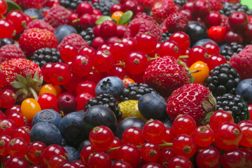 various berries background