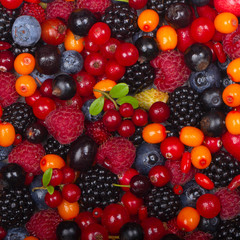 various berries background