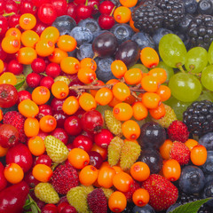 set of berries background