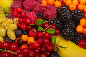 Fototapeta na wymiar set of fruits and berries background