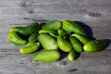 Green fresh cucumbers on wooden background