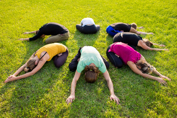 A group of people in a lotus pose on a green lawn in the park