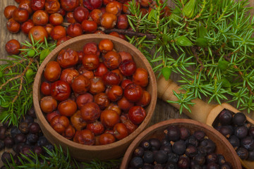 heap of red and black juniper berries background