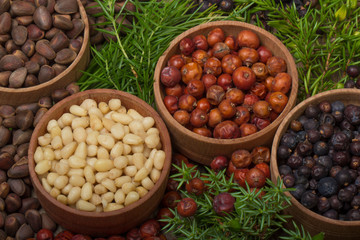 cedar nuts and juniper berries on wooden background