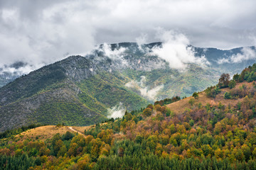 Fototapeta premium autumn in rodopa mountain, bulgaria