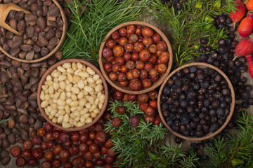 cedar nuts and juniper berries on wooden background