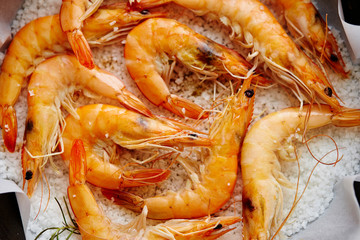 Fresh shrimps in cooking pan 