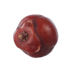 red juniper berry isolated on white background