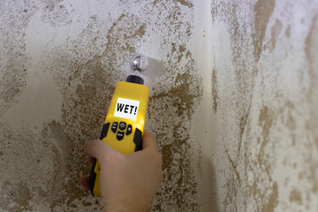 Humidity is measured at a wall in the basement. Instrument indicates a wet wall.