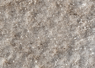 Background of snowy texture.