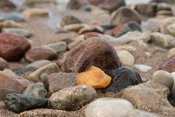 Amber on a beach.