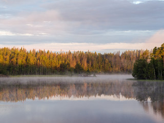 morning on the forest lake
