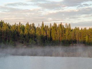 morning fog on a forest lake