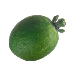 fresh feijoa isolated on white background