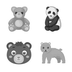 Vector design of sleep  and brown  symbol. Collection of sleep  and animal  stock vector illustration.