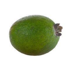 fresh feijoa isolated on white background