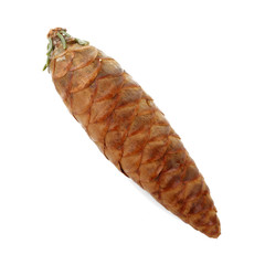 cone of fir isolated on white background