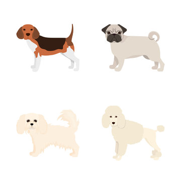 Vector illustration of  cute  and  icon. Collection of  cute  and  vector icon for stock.