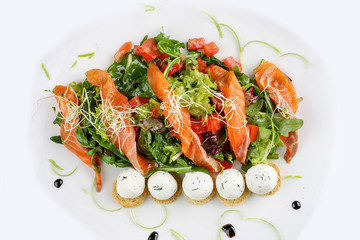 The salad with salmon and cottage cheese balls on a white background