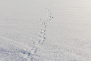human footprints on the snowy endless winter field