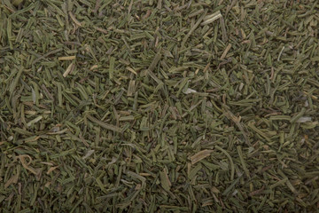 dried rosemary background