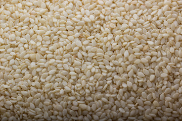 seeds of white sesame background