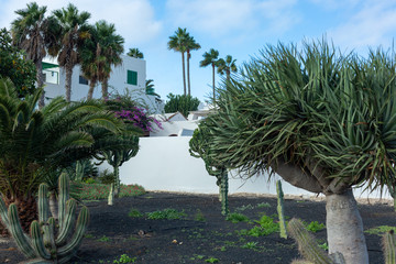 Fototapeta premium Embankment next to the ocean in Costa Teguise on Lanzarote island.