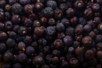 fresh black  juniper berries background