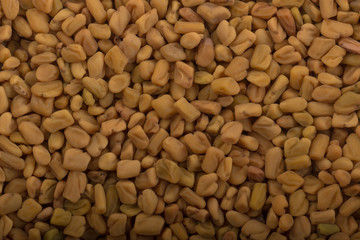 fresh yellow fenugreek background