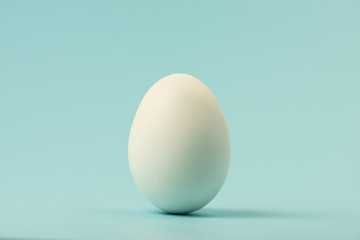 Egg isolated on blue background