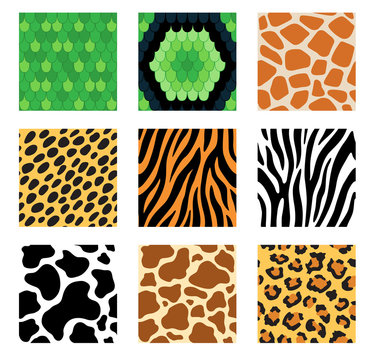 Set of seamless pattern of animal skins (cheetah, leopard, jaguar, tiger, hyena, zebra, giraffe, cow, snake, lizard)