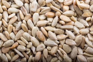 shelled seeds of sunflower background
