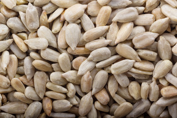 shelled seeds of sunflower background