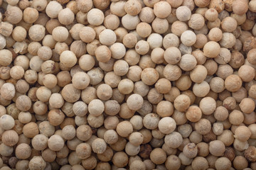 white peppercorn background