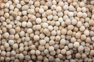 white peppercorn background