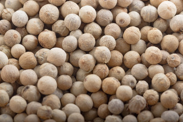 white peppercorn background